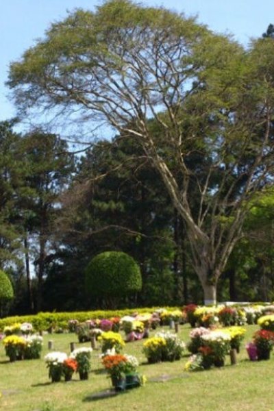habitat 3